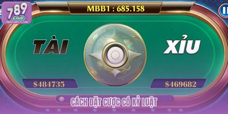 cach-dat-cuoc-co-ky-luat