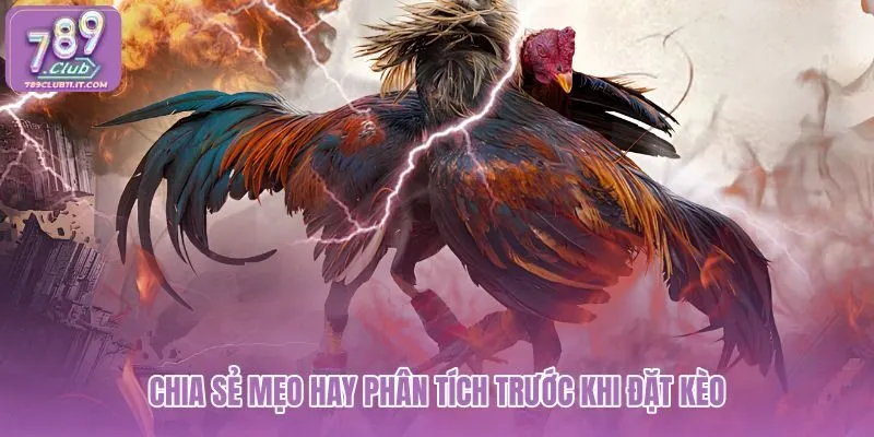 chia-se-meo-hay-phan-tich-truoc-khi-dat-keo