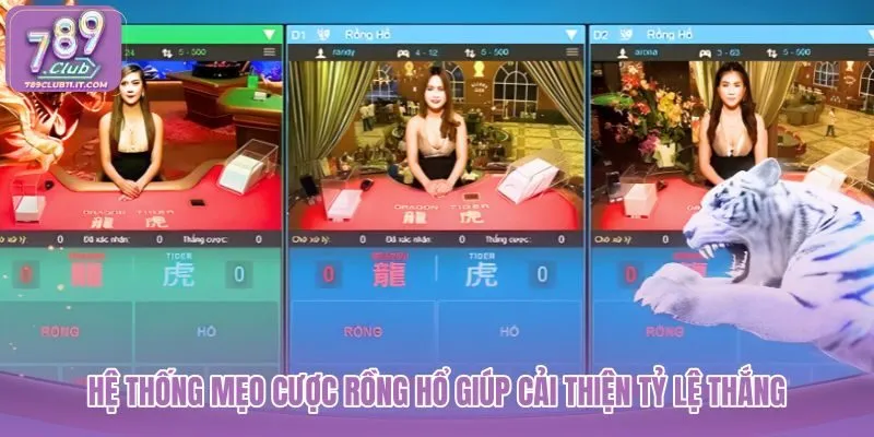 he-thong-meo-cuoc-rong-ho-giup-cai-thien-ty-le-thang he-thong-meo-cuoc-rong-ho-giup-cai-thien-ty-le-thang