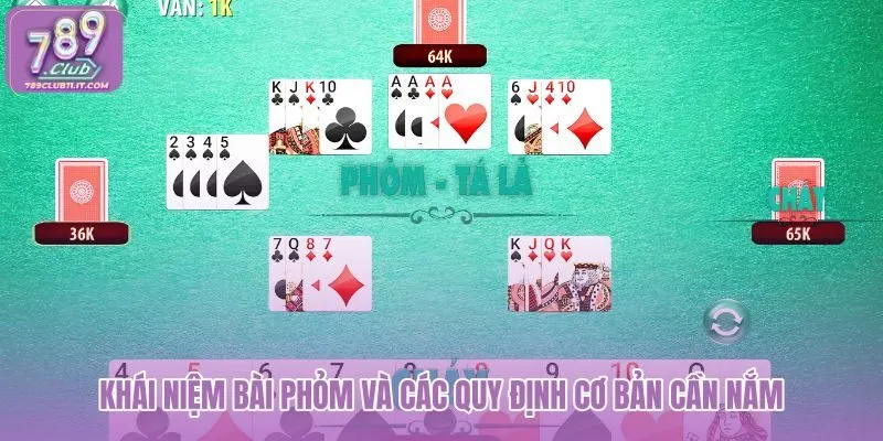 khai-niem-bai-phom-va-cac-quy-dinh-co-ban-can-nam