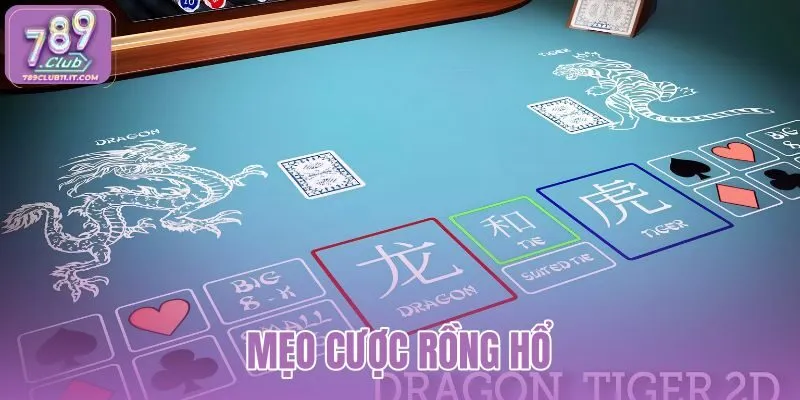 meo-cuoc-rong-ho