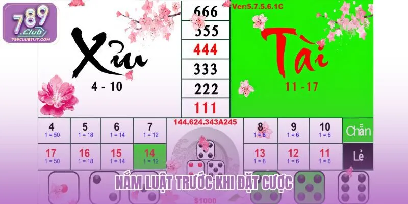 nam-luat-truoc-khi-dat-cuoc