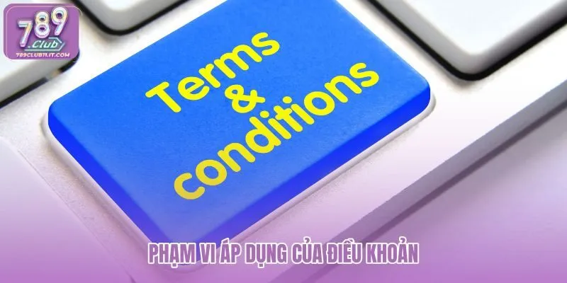 pham-vi-ap-dung-cua-dieu-khoan